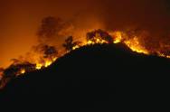 Waldbrand in Afrika